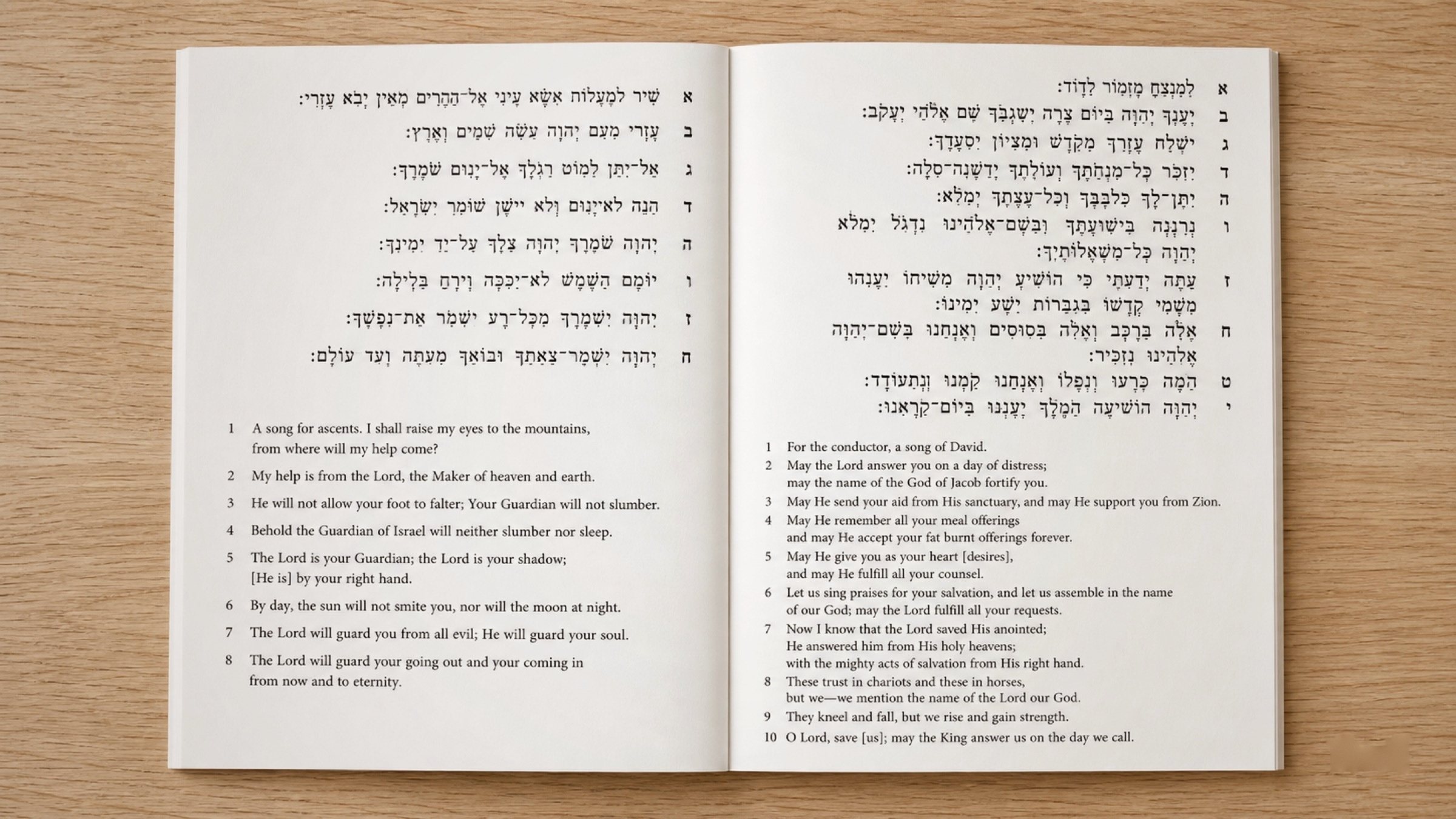 Two psalms from the Tehilim handout — Hebrew and English side by side, restrained black-on-white.